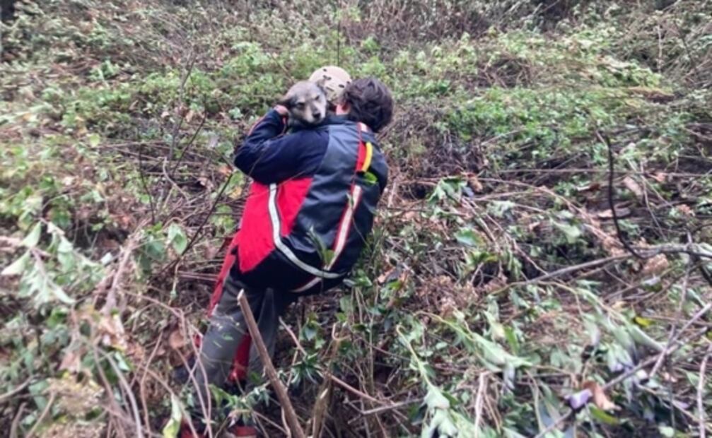 Rescatan a seis jóvenes y un perrito tras perderse en el Parque Estatal Sierra de Guadalupe, en Coacalco 