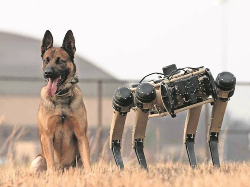 Perros robot “imparables”: otra arma contra migrantes