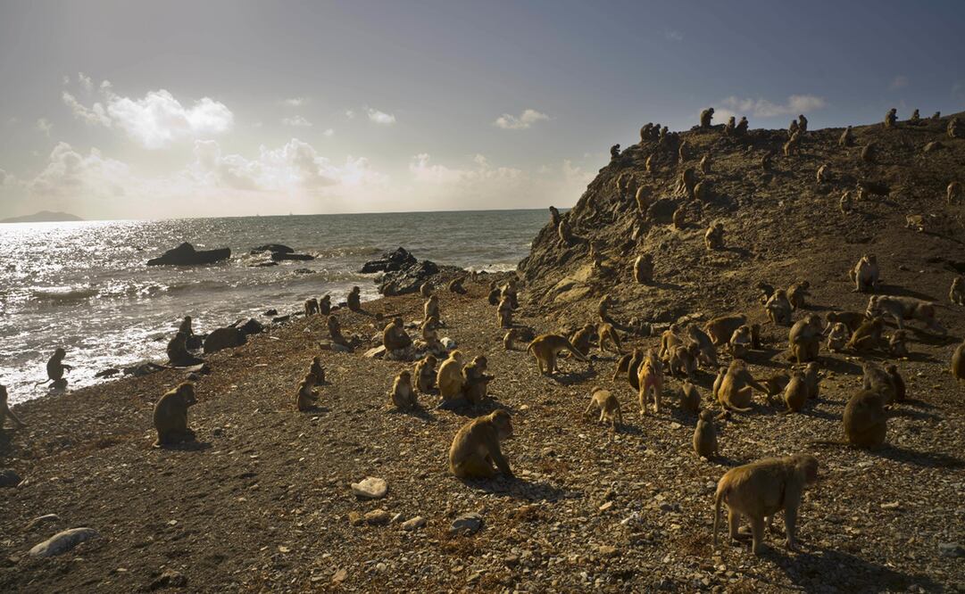 Foto: AP Photo/Ramon Espinosa, archivo