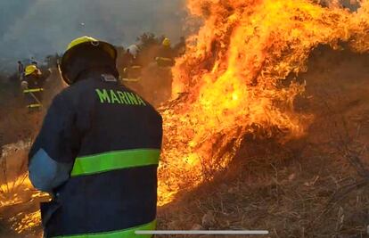 Reportan muerte de tres personas por incendios en Tecate, Baja California