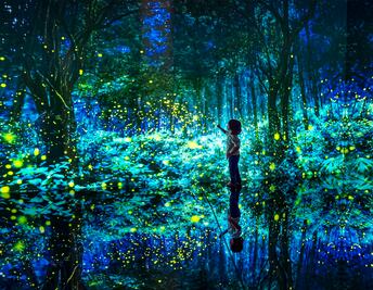 Conoce Mystika, el primer museo de experiencias inmersivas en Tulum