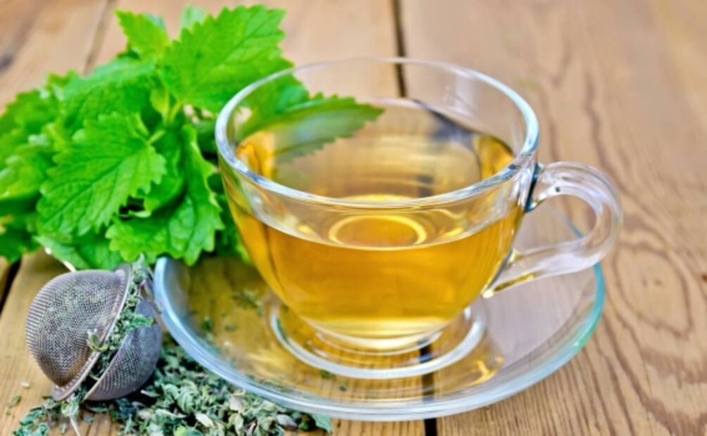 Estos son los múltiples beneficios de tomar infusiones de Toronjil