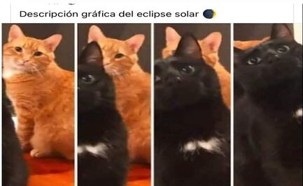 Eclipse Solar 2024: Los mejores memes que dejó el evento astronómico