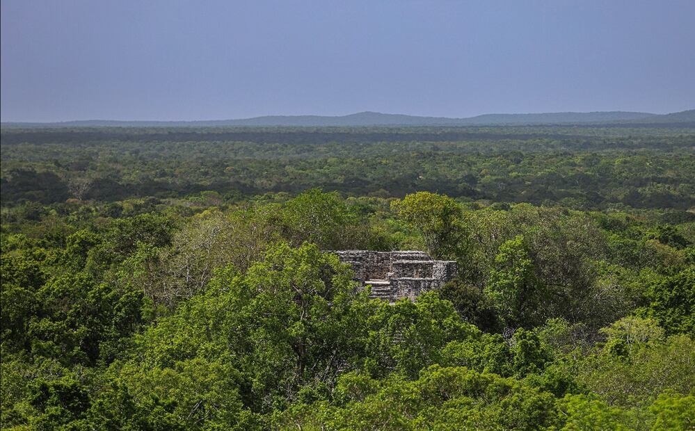 Recorrido por la zona arqueológica de Calakmul, en Campeche, México, el 2 de julio de 2025. Foto: Gabriel Pano/EL UNIVERSAL