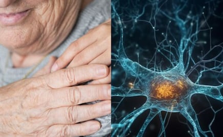 Estudio de Harvard revela nuevos datos claves sobre las neuronas