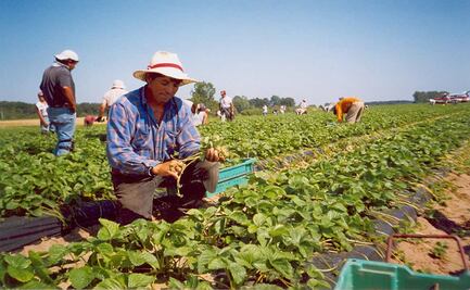 Congreso de Oaxaca incluirá la figura de diputado migrante; entrará como plurinominal