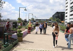 Capitalinos y turistas visitan el Jardín Flotante de Calzada de Tlalpan; aún no está terminado