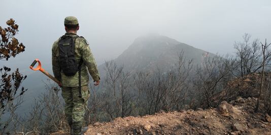 Controlan el 90% de mega incendio forestal en Veracruz