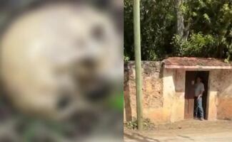 Hallan restos óseos en predio de Yucatán; sospechan que podrían pertenecer a dueño de la propiedad desaparecido