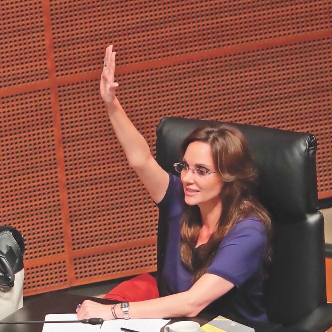 Exigencia. La senadora Téllez señala que el aborto sí debe penalizarse, pero no con cárcel. ARCHIVO EL UNIVERSAL