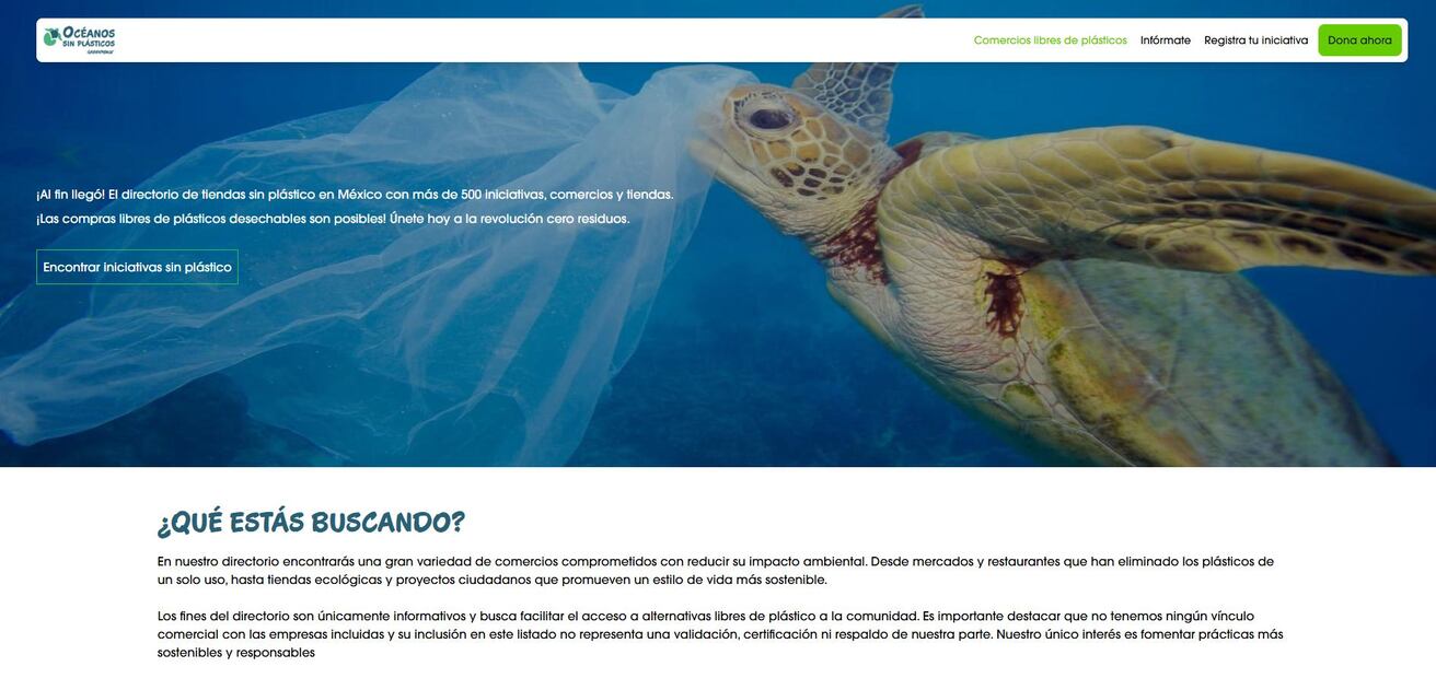 Guía de comercios y tiendas libres de productos de plástico en México. Foto: Captura de pantalla