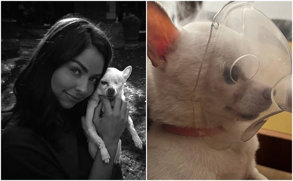 La actriz Claudia Martin comparte momentos con Gusi, su perrita fallecida.