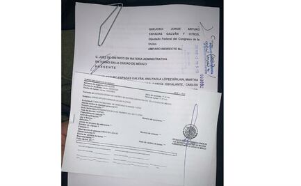 Diputados panistas se amparan contra designación de Ackerman