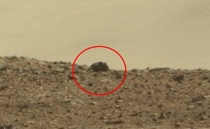 Observan una “rata” en Marte