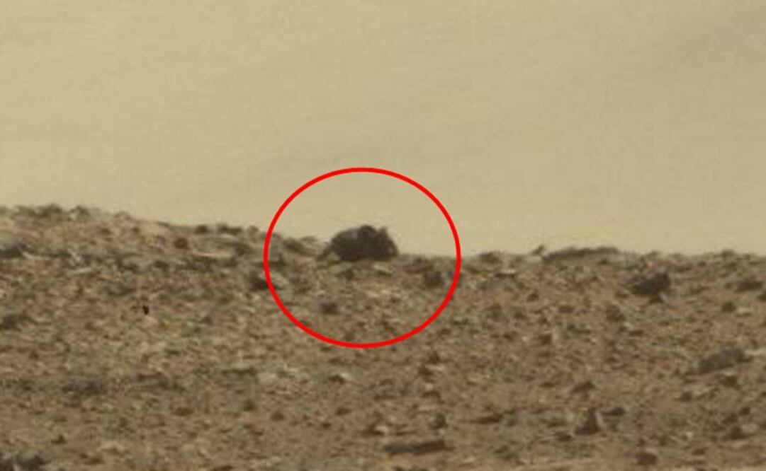 “Podría ser una ilusión óptica, pero tiene grandes orejas, una nariz y ojos”. Foto: NASA