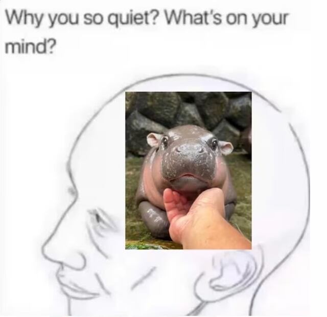 Memes de la última semana de septiembre.
Imagen: X