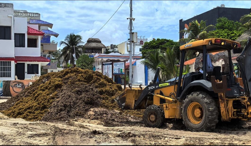 Sargazo invade Playa del Carmen en Quintana Roo, el 3 de junio de 2025. Foto: Adriana Varillas/EL UNIVERSAL