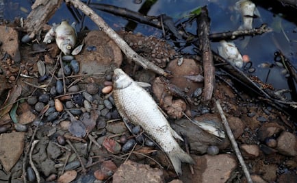 Sulfuric acid spill was bigger than declared