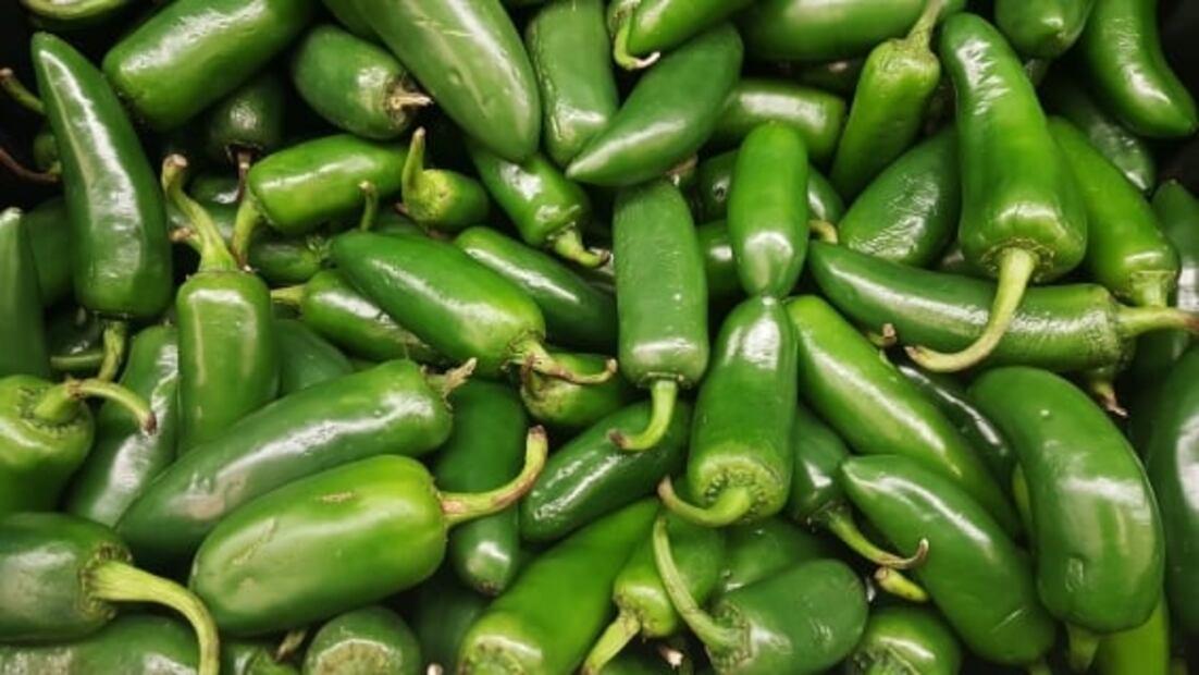 Diferencias entre chile jalapeño, cuaresmeño y serrano