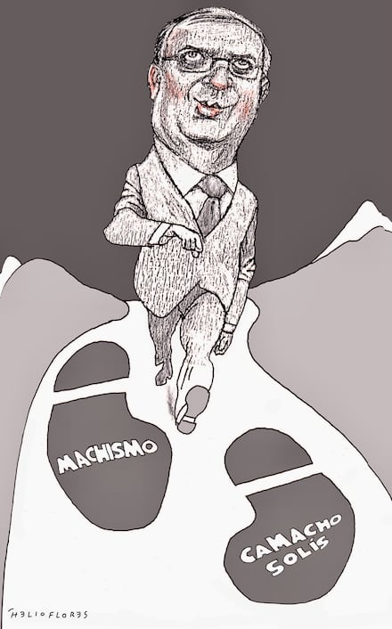 Cartón de HELIOFLORES