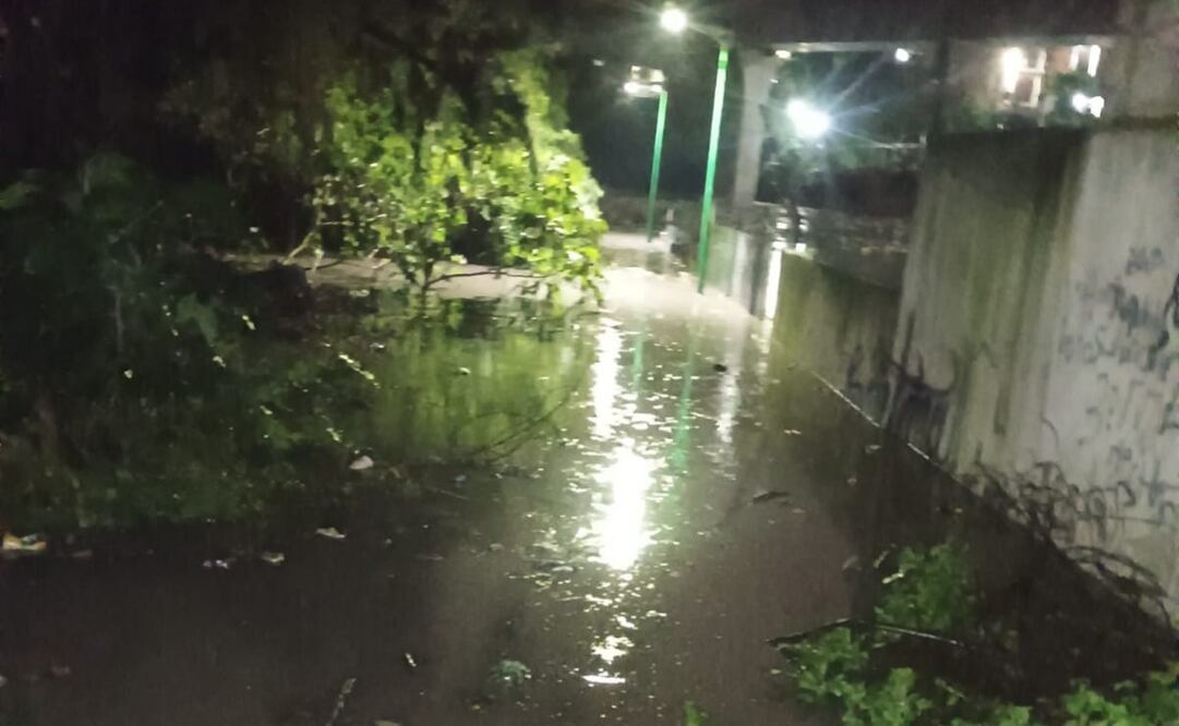 La agrupación Vecinos Unidos del Capulín externaron su preocupación a causa del aumento del nivel de agua en la presa Tacubaya, localizada cerca del Tren Interurbano México-Toluca. Foto: Juan Carlos Williams / EL UNIVERSAL