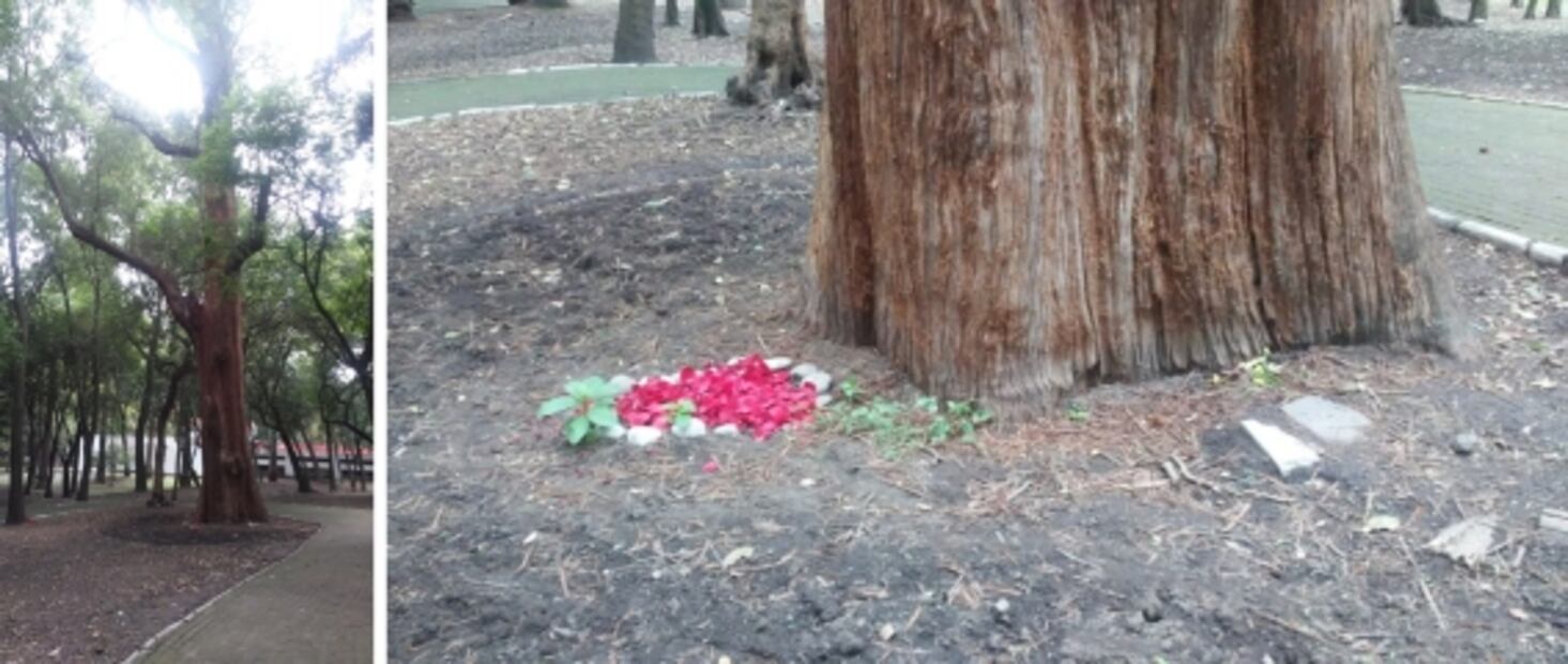 Los viejos gigantes del agua