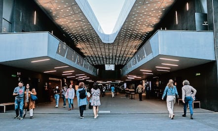 La proyección de "Flow" en la Cineteca y otras actividades para comenzar el año