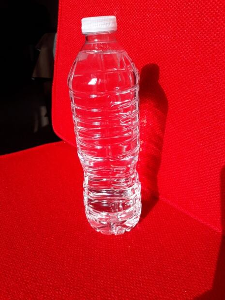 Químicos, “comida chatarra” y microplásticos conforman ahora el organismo de los niños