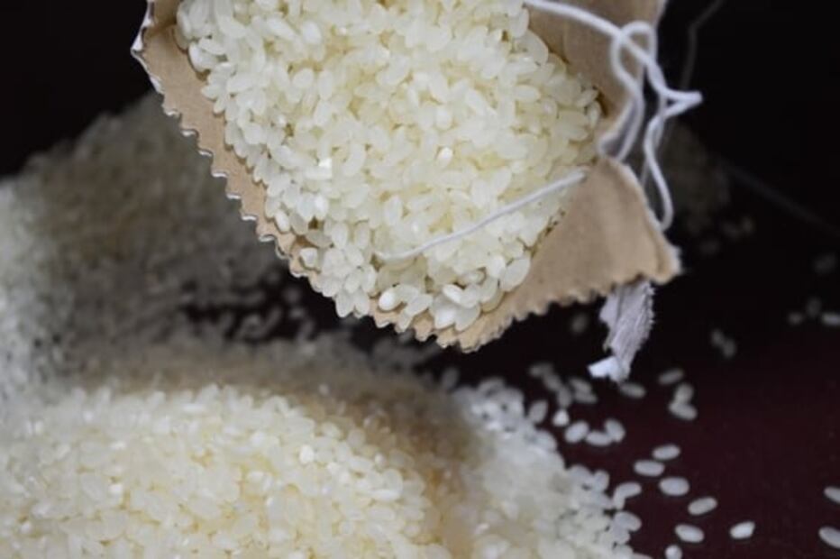 5 alimentos que debes comer con frecuencia para mantenerte saludable