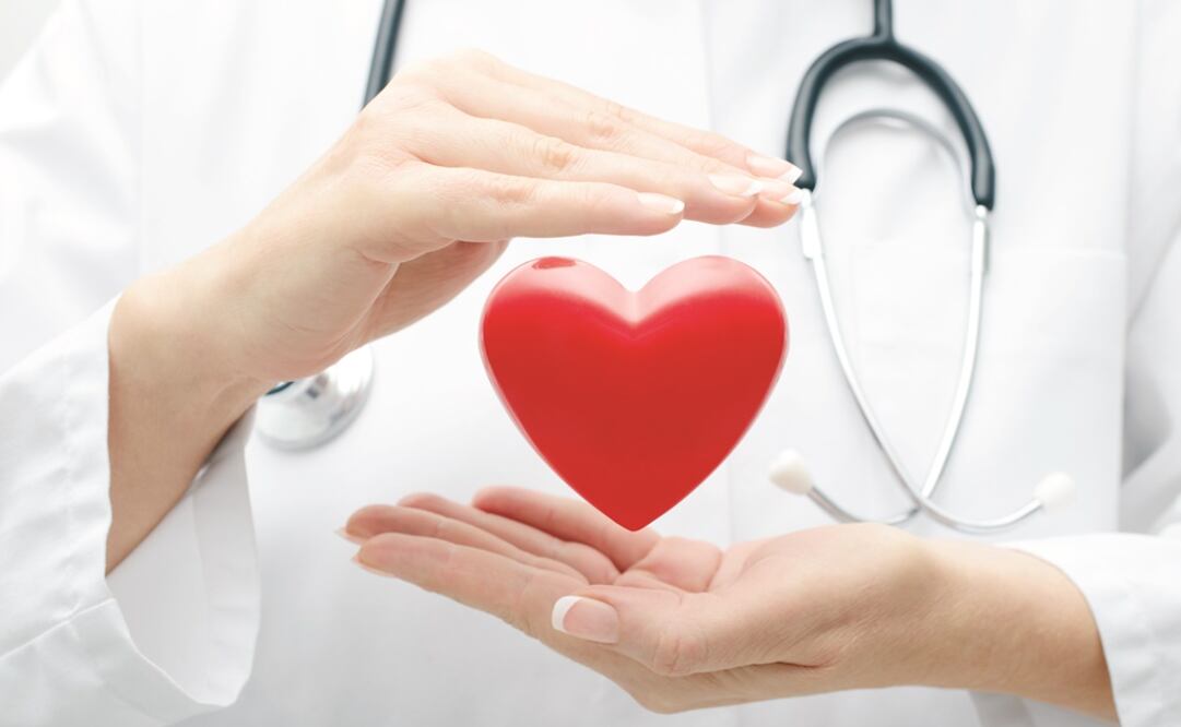 Foto. Archivo. EL UNIVERSAL