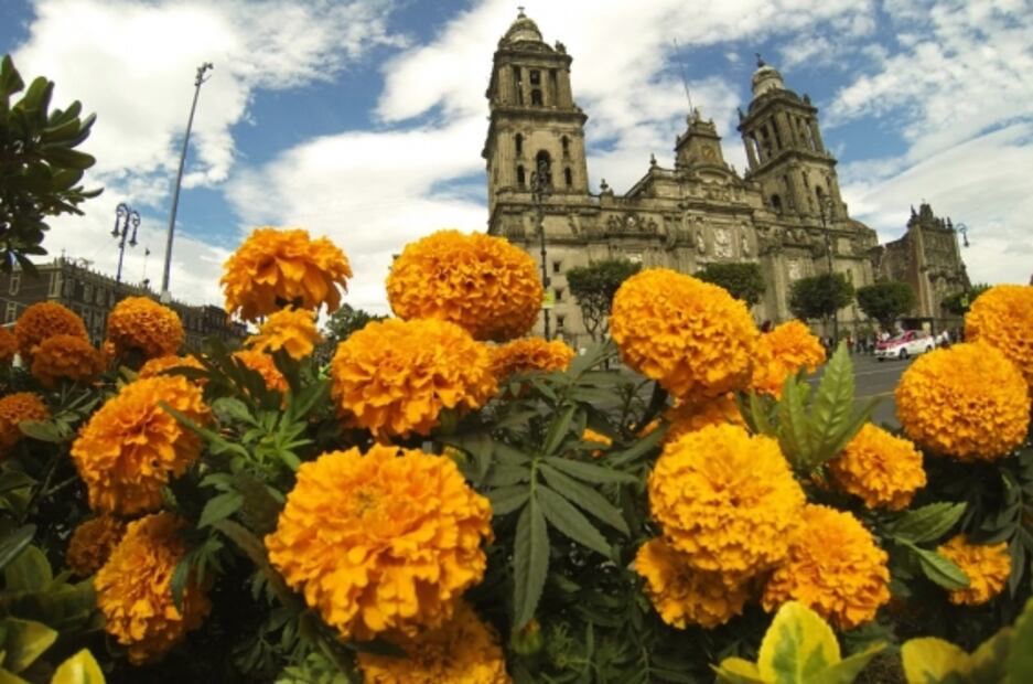 Día de Muertos: Qué elementos lleva una ofrenda y su significado