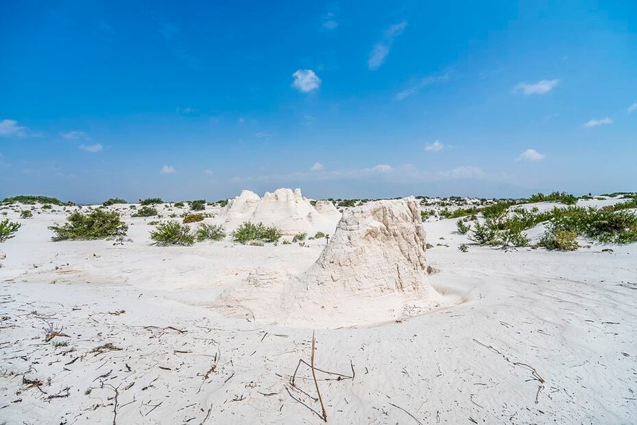 Foto: Istock