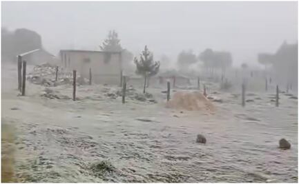 Veracruz registra cencelladas, caída de aguanieve y fuertes vientos por Frente Frío 24; suspenden clases para el miércoles 22 de enero