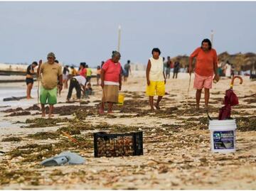 Regresa la calma a costas yucatecas tras paso del huracán "Milton"; familias recolectan caracol y "chivitas"