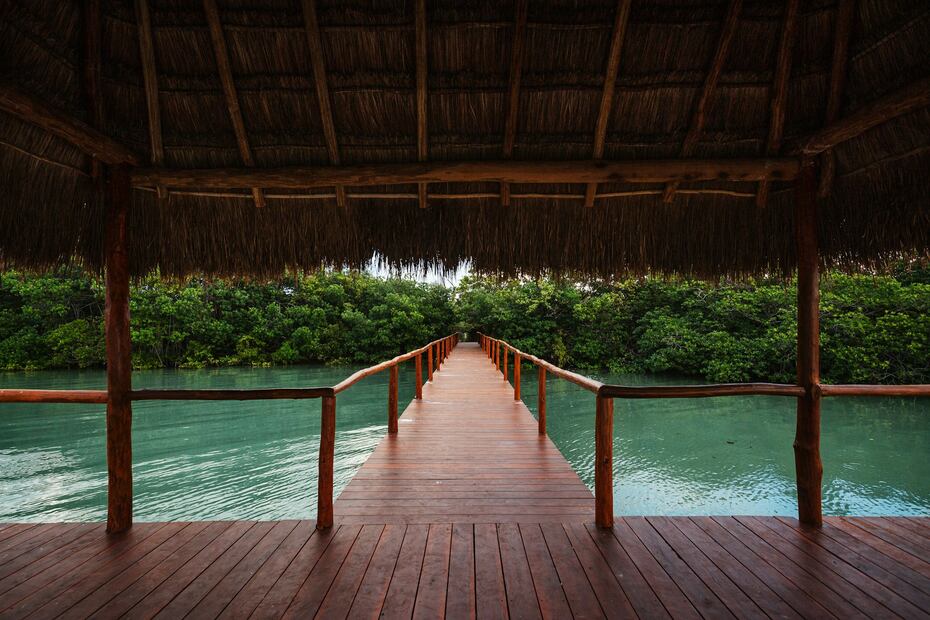 Reserva de la Biósfera Sian Ka'an en Tulum. Foto: Unsplash / Gabriel Barranco