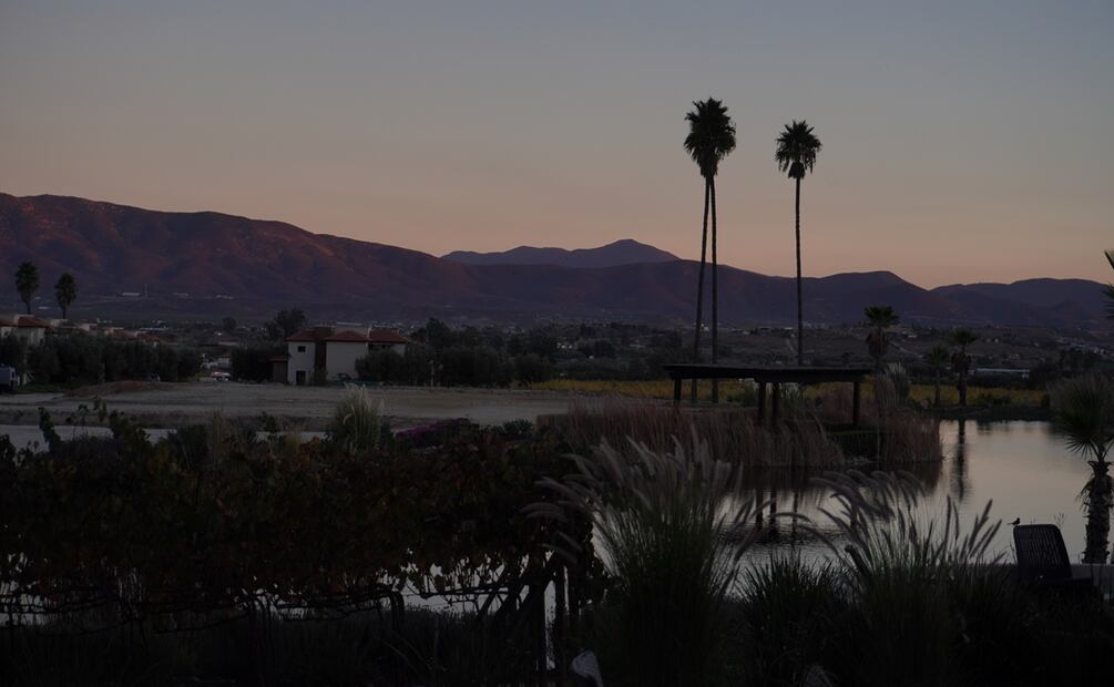 El Cielo, un viñedo en Valle de Guadalupe. Foto: Alan Nájera / El Universal