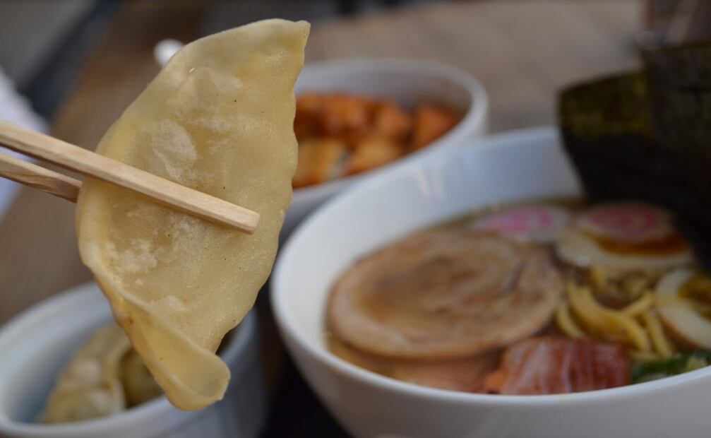 Gyozas, a bite that few can resist - 