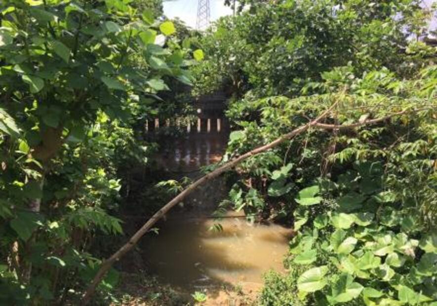 El Papaloapan, retiran veda a un cauce que agoniza 