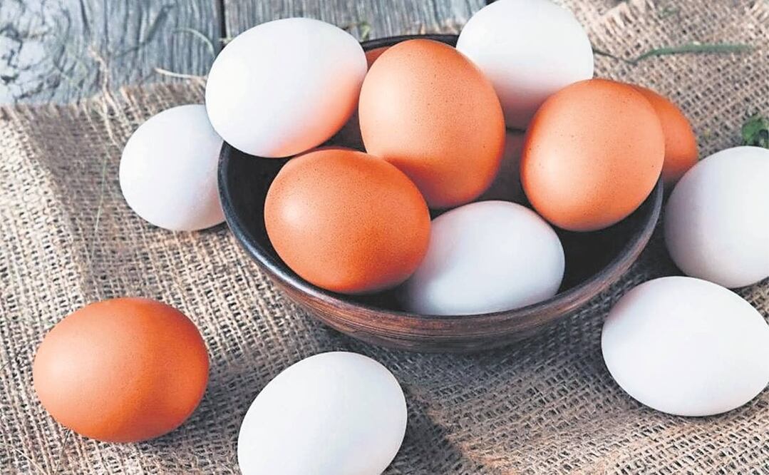 Foto: Archivo/EL UNIVERSAL