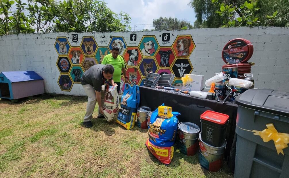 Centro de Transferencia Canina del Metro conmemora el Día Mundial del Perro. Foto: Especial