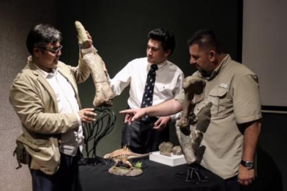 Hallan fósil de dinosaurio más antiguo que habitó en Coahuila