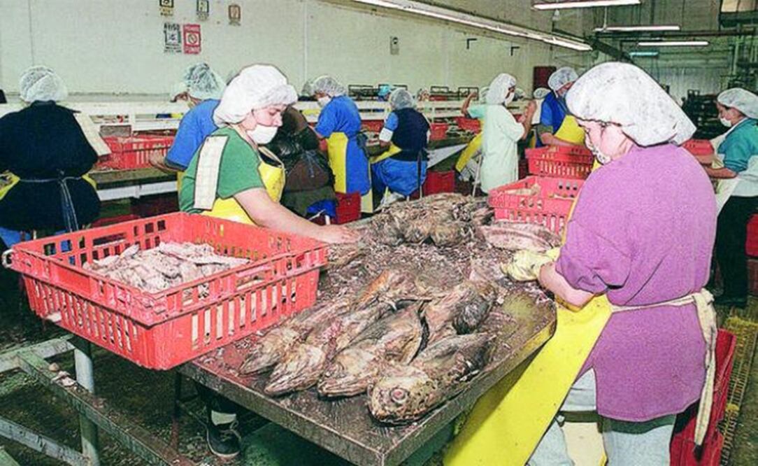 Foto: Archivo. EL UNIVERSAL