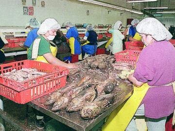 Autorizan que México sancione a EU por atún