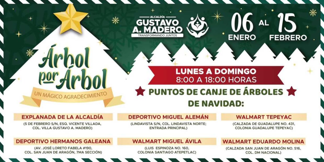 Campaña "Árbol por Árbol: Tu Ciudad Reverdece 2025" en la Gustavo A. Madero. Foto: X @TuAlcaldiaGAM