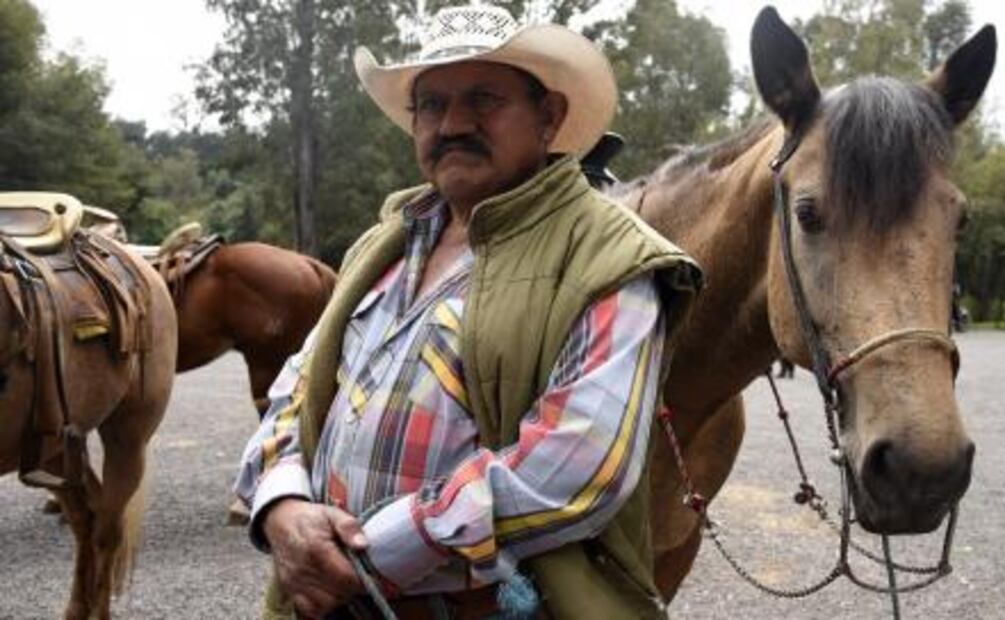 El hombre que vive en la calle con 23 perros 