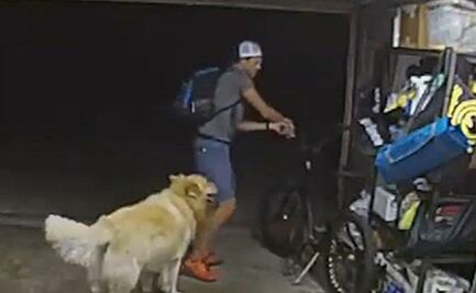 Ladrón entra a robar una bicicleta y se detiene para acariciar al perro de la casa