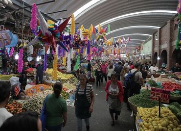 Proponen que la Ciudad de México sea pet friendly