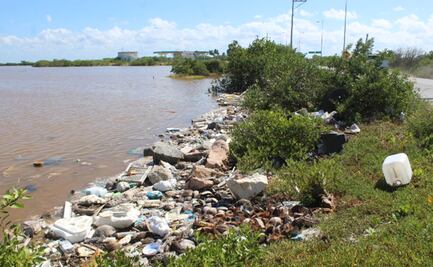 Alertan por pescados y mariscos con plástico en Yucatán  