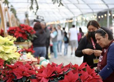 Listo el Festival de Flores de Nochebuena en Paseo de la Reforma; la más cara cuesta 220 pesos