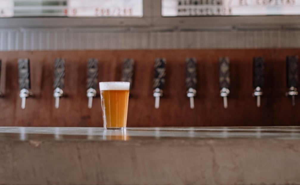 ESPECIAL DE ATUN: ¿Con que vinos, cerveza y drinks puedes maridar este pescado?
